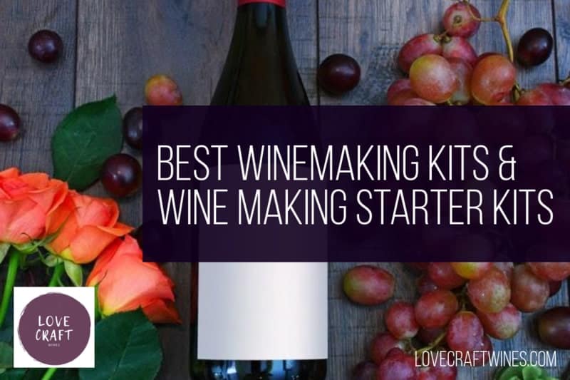 Top 10 Best Winemaking Kits & Wine Making Starter Kits