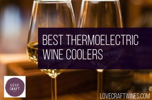 Top 21 Best Thermoelectric Wine Coolers