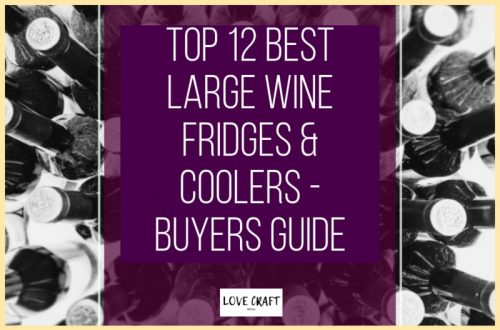 Top 12 Best Large Wine Fridges & Coolers