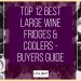 Top 12 Best Large Wine Fridges & Coolers