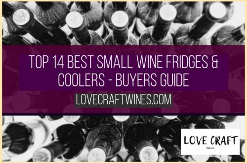 Top 14 Best Small Wine Fridges & Coolers