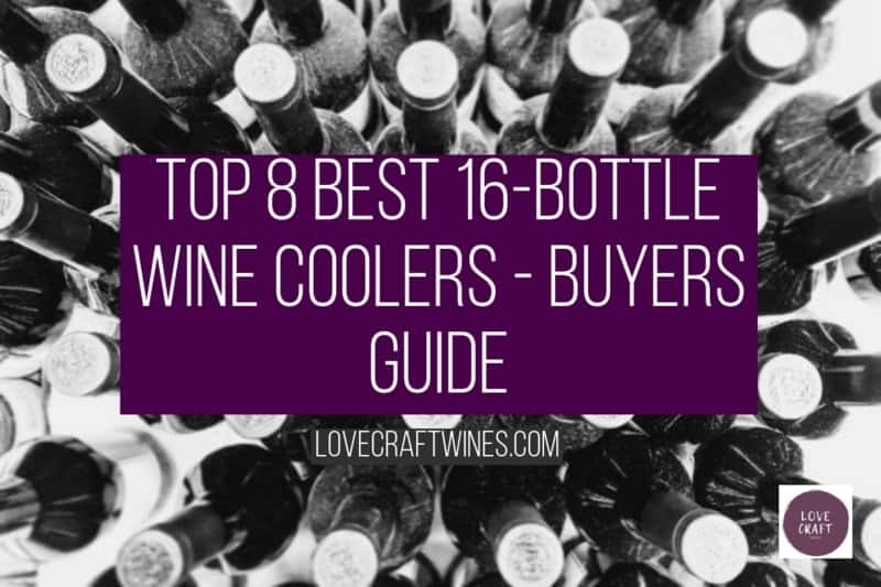 8 Best 16 Bottle Wine Coolers Fridges 2024 Review   Best 16 Bottle Wine Coolers Buyers Guide 