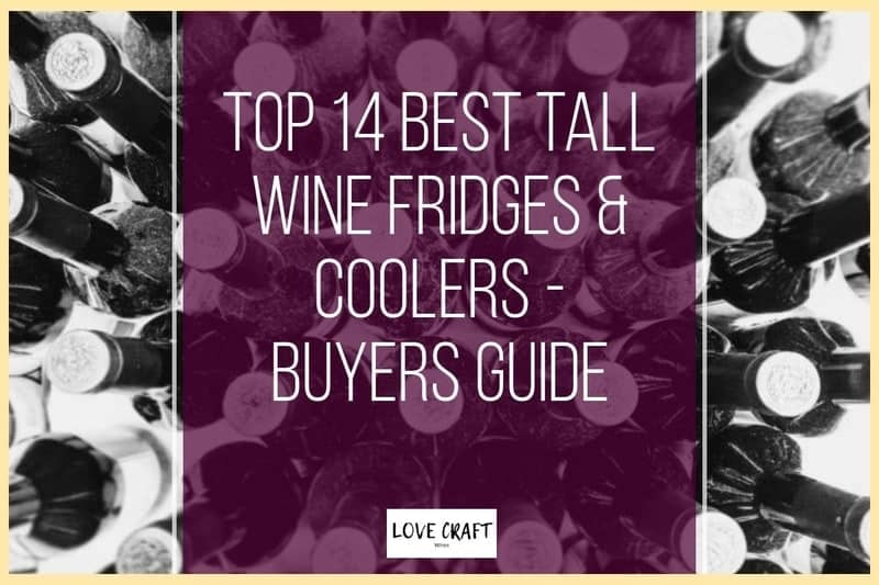 Top 14 Best Tall Wine Fridges & Coolers