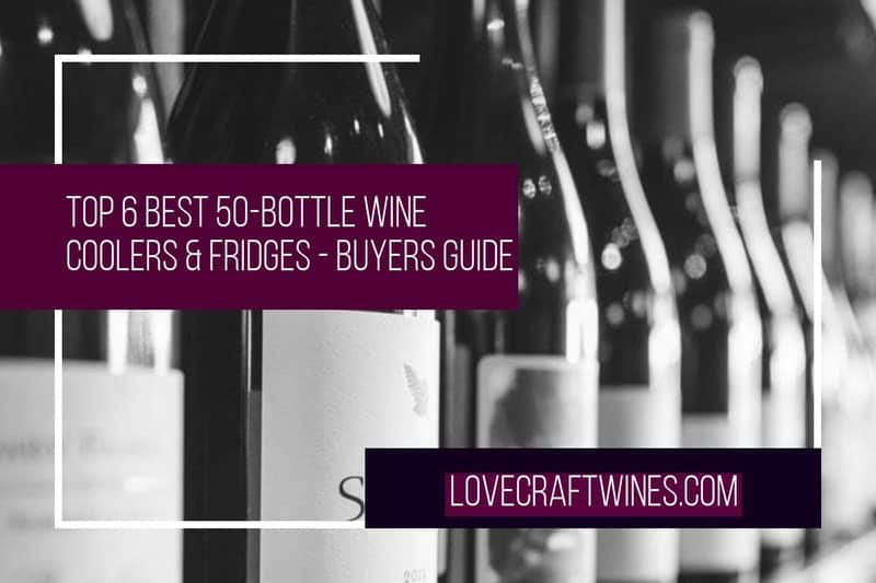 Top 6 Best 50-Bottle Wine Coolers & Fridges