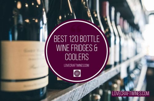 Top 8 Best 120 Bottle Wine Fridges & Coolers