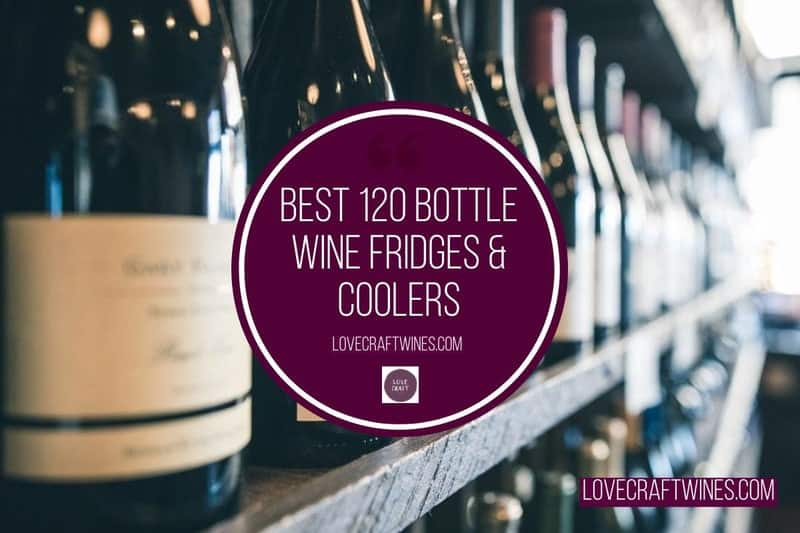 Top 8 Best 120 Bottle Wine Fridges & Coolers