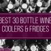 Best 30 Bottle Wine Coolers & Fridges