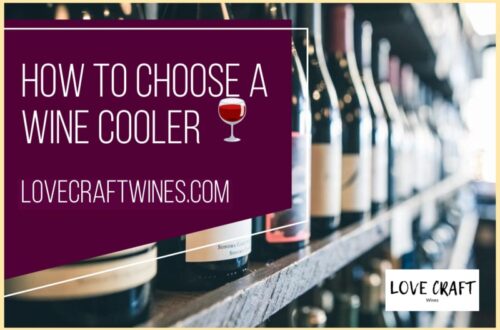 How to choose a wine cooler fridge