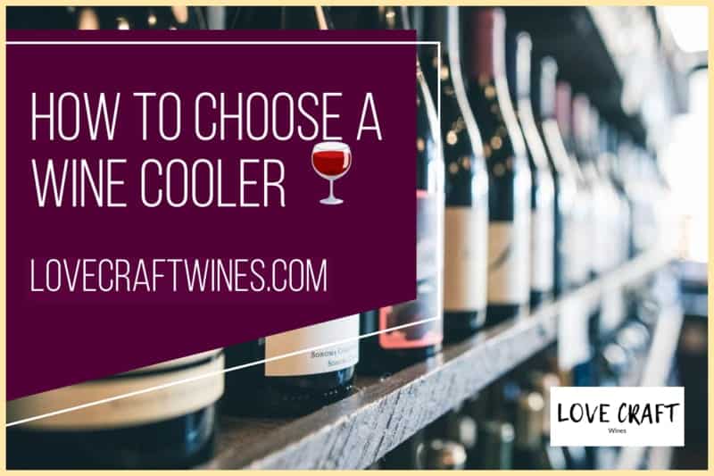 How to choose a wine cooler fridge