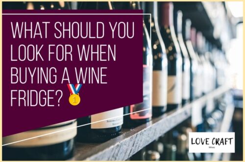 What Should You Look for When Buying a Wine Fridge?