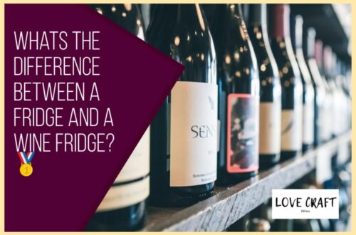 Whats the Difference Between a Fridge and a Wine Fridge?