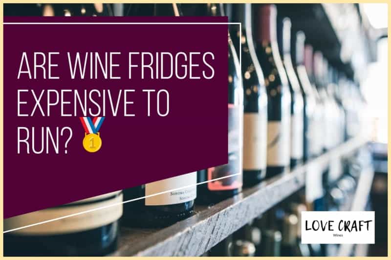 Are Wine Fridges Expensive To Run