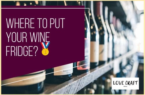 Where to Put Your Wine Fridge🥇