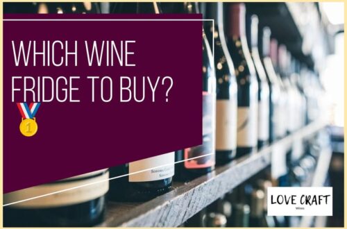 Which Wine Fridge To Buy?