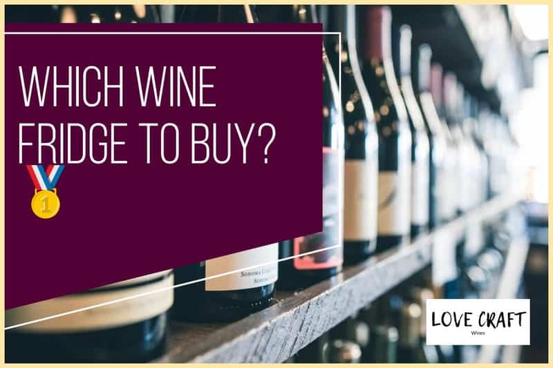 Which Wine Fridge To Buy?