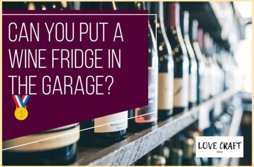 Can You Put A Wine Refrigerator in The Garage