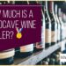 How Much Is A EuroCave Wine Cooler