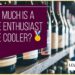 How Much Is A Wine Enthusiast Wine Refrigerator