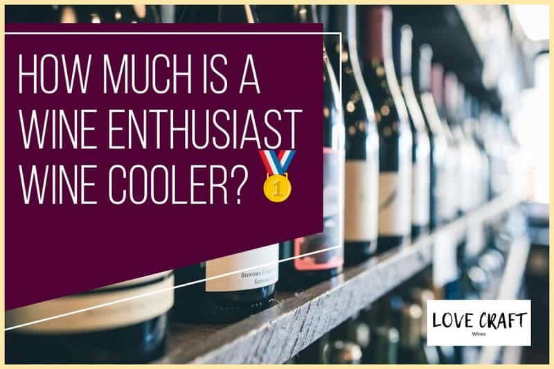 How Much Is A Wine Enthusiast Wine Refrigerator