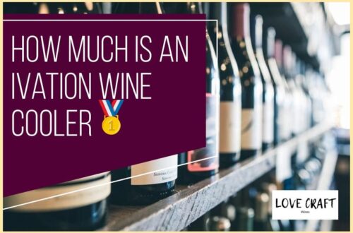 How Much Is An Ivation Wine Fridge