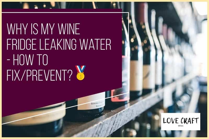 Why Is My Wine Fridge Leaking Water - How to Fix and Prevent