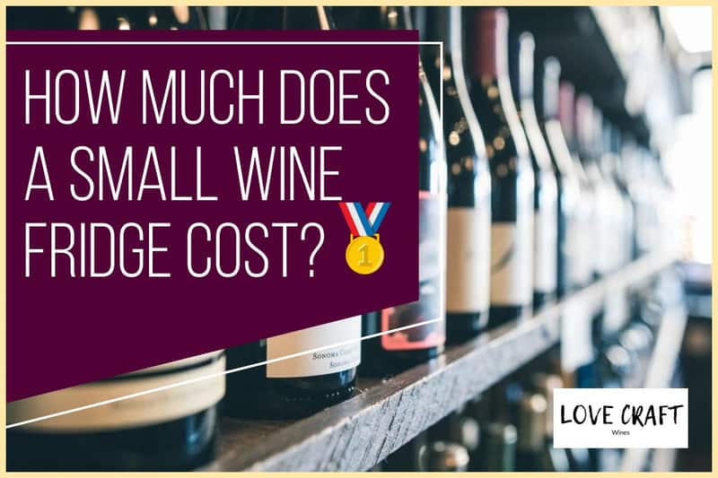 How Much Does A Small Wine Refrigerator Cost?