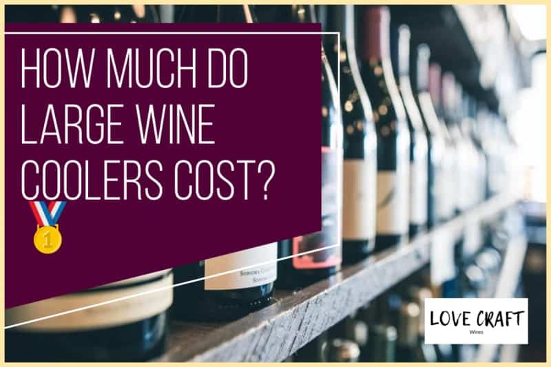 How Much Do Large Wine Coolers Cost