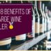 Top 8 Benefits Of A Large Wine Fridge