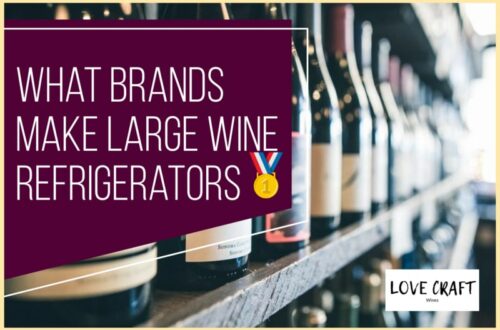 What Brands Make Large Wine Refrigerators - 10 Popular Brands