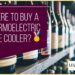 Where To Buy A Thermoelectric Wine Refrigerator