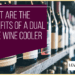 What Are The Benefits Of A Dual Zone Wine Cooler